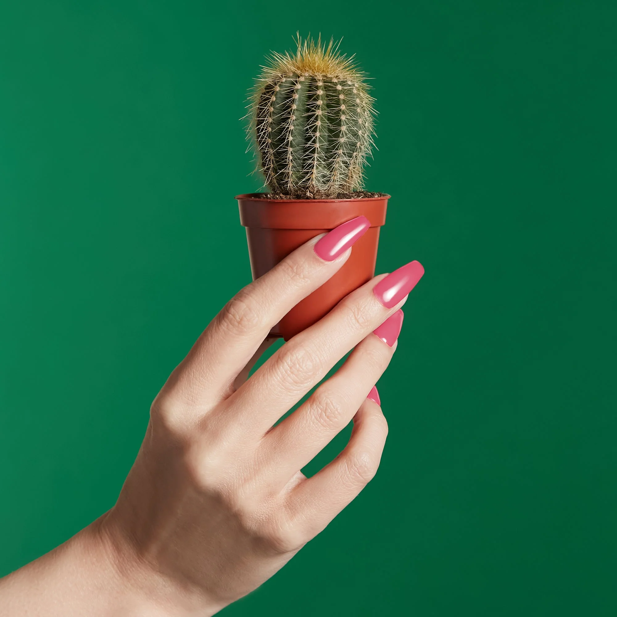 Mylee Gel Polish - Beyond Perfect - Image 7